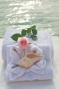 Romantic spa day Royalty Free Stock Photo