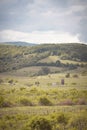 Romantic spring vineyard countryside in Pezinok Royalty Free Stock Photo