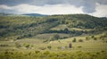 Romantic spring vineyard countryside in Pezinok Royalty Free Stock Photo