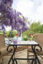 Romantic still life. Two glasses of pink wine on vintage table, two wicker chairs above the blooming purple wisteria near the