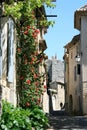 Romantic street with roses in old french town Royalty Free Stock Photo