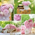 Romantic style collage with pink peonies still life