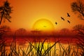 Romantic summer landscape with sunset over water, birds, reed, trees