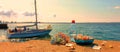 romantic summer sunset on sea Wonderful Wild flowers fresh water in the clean Baltic Sea seashell on the rock Blue glass cup an