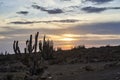 romantic sun set over a desert landscape with cactus an dramatic sky Royalty Free Stock Photo