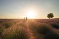 Romantic Sunrise Stroll in a Lavender Field - Provence, France Royalty Free Stock Photo