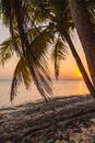 Romantic sunset on a desert island, Maldives Royalty Free Stock Photo