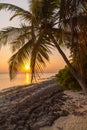 Romantic sunset on a desert island, Maldives Royalty Free Stock Photo