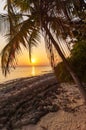 Romantic sunset on a desert island, Maldives Royalty Free Stock Photo