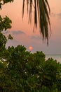 Romantic sunset on a desert island, Maldives Royalty Free Stock Photo