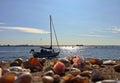 Sea Sunset on sea romantic Seascape skyline horizon seashell on rock blue sky old town city  port of Tallinn,Estonia,Baltic Sea Royalty Free Stock Photo