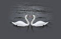 Romantic swan couple Royalty Free Stock Photo