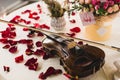 Romantic table setting with beautiful flowers in box, rose petals and violin Royalty Free Stock Photo