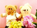 romantic teddy bear on wedding scene love concept Royalty Free Stock Photo