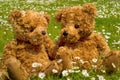 Romantic teddybear couple