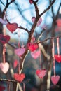 Romantic tree with beautiful valentine's day decorations hanging outdoors