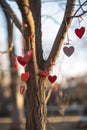 Romantic tree with beautiful valentine& x27;s day decorations hanging outdoors