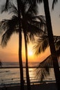 Romantic tropical Hawaiian Waikiki beach and palm trees silhouetted at sunset Royalty Free Stock Photo