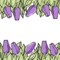 Romantic tulip composition, Lilac flowers on neutral white back