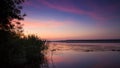 Twilight with tender pink and purple clouds in deep blue sky, bulrush thickets and willow branches at still water surface of lake