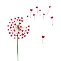 Romantic Valentine`s background. Dandelions with flying hearts. February 14 holiday of love. Vector