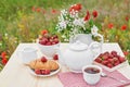 Romantic Valentines french or rural breakfast: tea, strawberries, croissants on table in poppy field. Countryside and Cozy Good Royalty Free Stock Photo