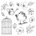 Romantic Vector Hand Drawn Collection Of Birds, Flowers, Gardeni