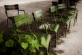 Romantic view of green metal chairs in park with green plant and nobody, green color concept Royalty Free Stock Photo