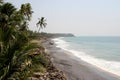 Romantic view of Kerala beach with palms in the foreground