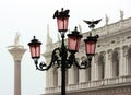 Romantic view of a typical Venetian lamppost with doves
