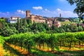 Romantic vine route with medieval castles in Emiglia Romagna. Royalty Free Stock Photo