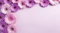 Romantic Violet Gerbera Flowers On Light Purple Background