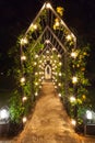 Romantic walkway with gold lighting