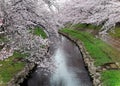 Romantic walkways under pink cherry blossoms Sakura Namiki along a small river bank in Fukiage City, Konosu, Saitama, Japan