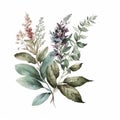 Watercolor Sage Floral Clipart. Beautiful Watercolor set . Isolated on White Background.