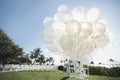 Romantic wedding ceremony on the beach. A lot of white balloons Royalty Free Stock Photo