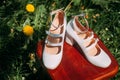 Romantic wedding composition of a pair of bride's shoes on a stool in a blooming garden