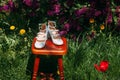 Romantic wedding composition of a pair of bride's shoes on a stool, in a garden with blooming lilacs
