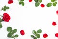 Romantic white background with red roses, petals and green leafs. Royalty Free Stock Photo