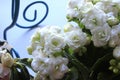 Romantic white little flowers