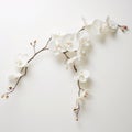 Romantic White Orchid Blossoms: Sculptural Installation On Wood Frame