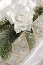 Romantic white rose and fur-tree branch (diagonal)