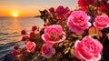 romantic wild flowers pink roses bush on sea beach at sunset Royalty Free Stock Photo