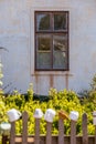 Romantic window and fence with mugs Royalty Free Stock Photo