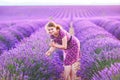 Romantic woman in lavender fields, having vacations in Provence, France. Girl traveling through Valensole plateau Royalty Free Stock Photo