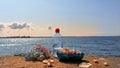 Romantic world Wild flowers fresh water in clean Baltic Sea seashell on rock i blue glass cup and bott