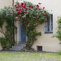 Romantic yard with door with flowers, Germany Royalty Free Stock Photo