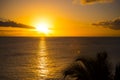 Romantic yellow sunset on a beach of Martinique Royalty Free Stock Photo