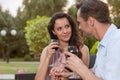 Romantic young couple holding hands while having red wine in park Royalty Free Stock Photo