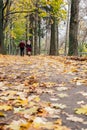 Romantic young couple walking in autumn park. Family together in the park. Royalty Free Stock Photo